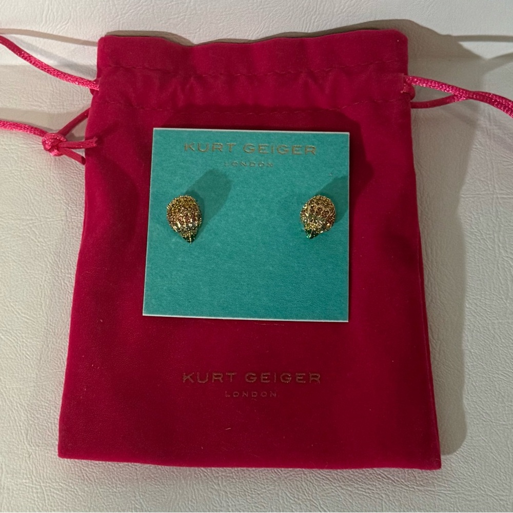 New with tags: Kurt Geiger Earrings